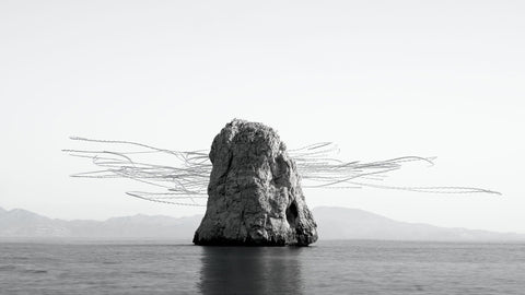 Ornithographies #277, Alpine Swift, Medes Islands, Catalonia, 2023