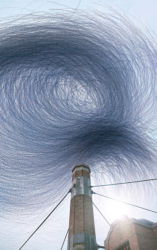 Ornithographies #310, Vaux's Swifts, Portland, Oregon, 2024