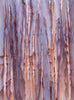 Elevation - Foster/White Gallery