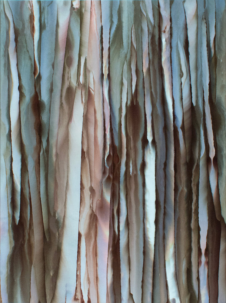 Forest for the Trees