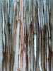 Forest for the Trees
