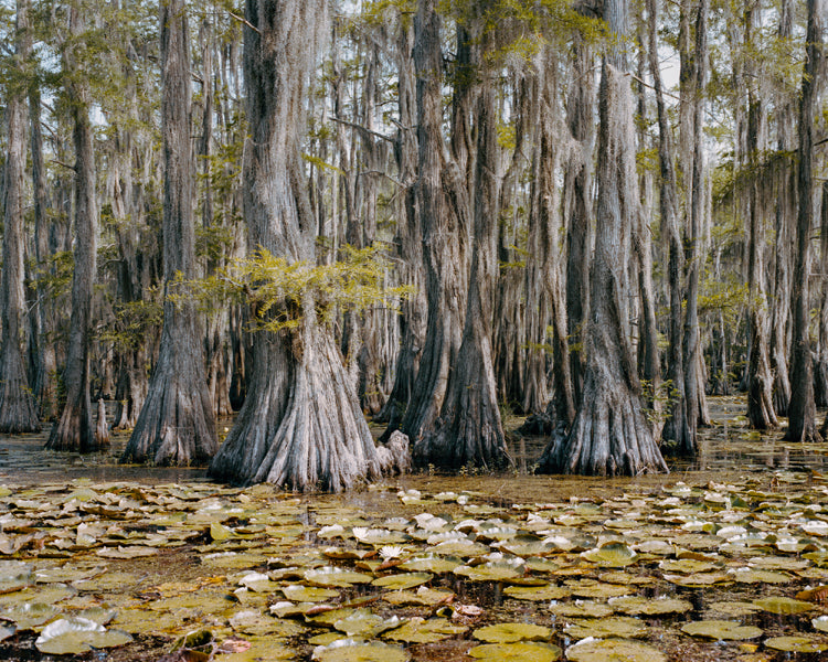 South 1, Texas, 2011