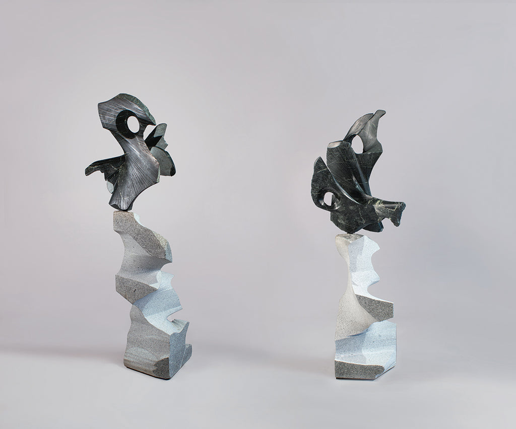 Darkling Hawks - Foster/White Gallery