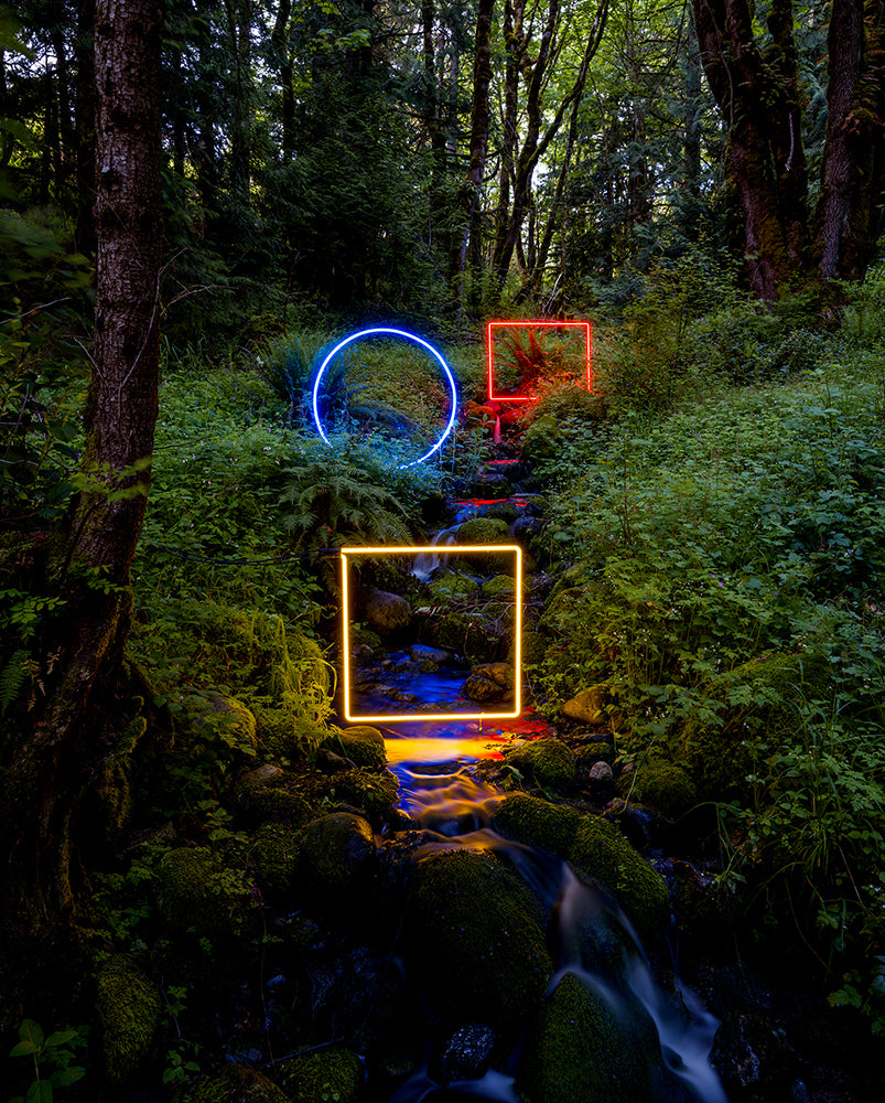 Magic Meadow