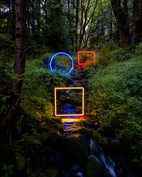 Magic Meadow