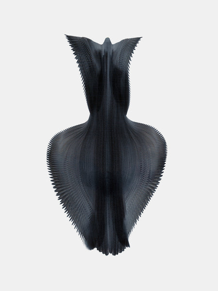 Fluctus #30, Falco peregrinus, Peregrine falcon