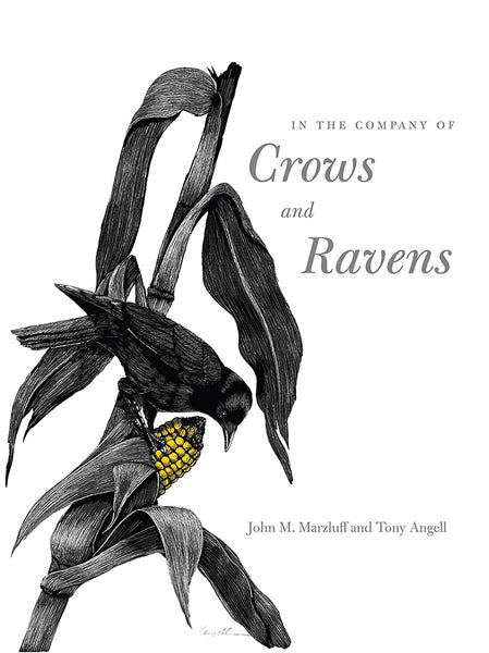 In the Company of Crows and Ravens, Tony Angell Book, 2005