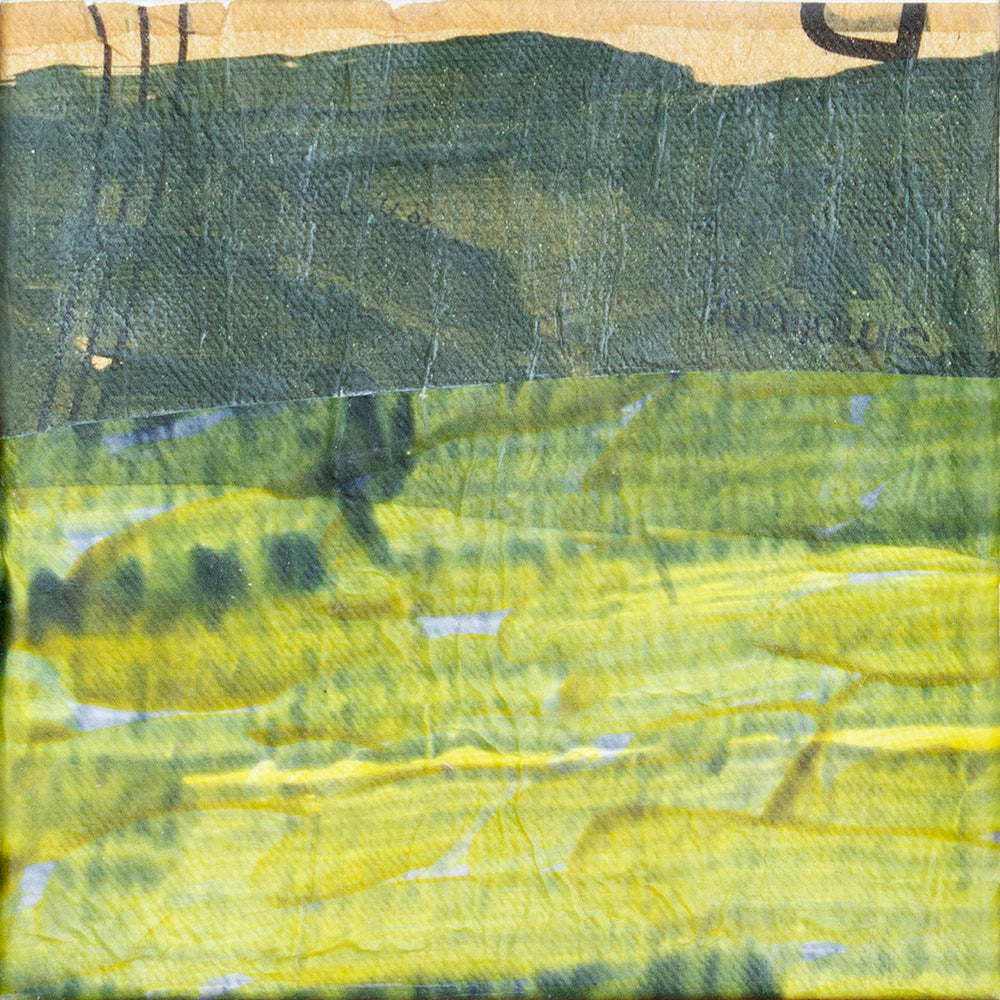 Snapshots from Montana 13 - Foster/White Gallery