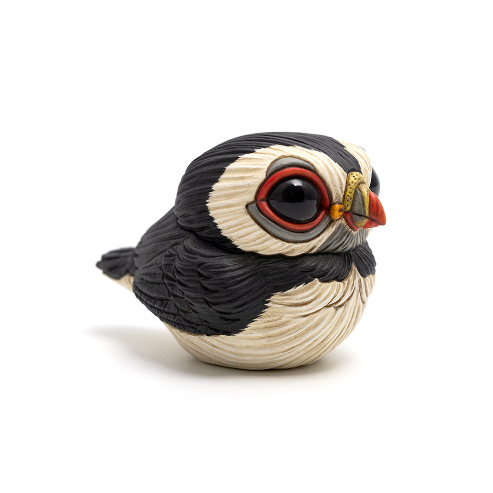 Chubby Bird: Puffin