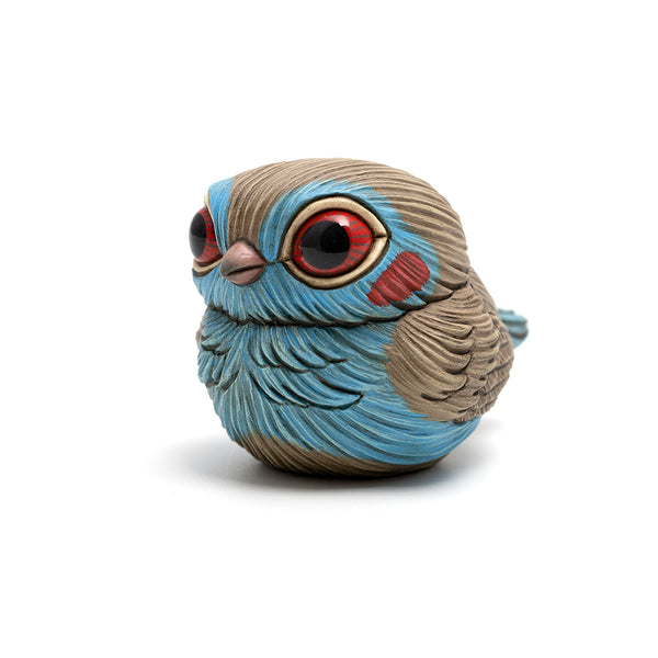 Chubby Bird: Red-Cheeked Cordon-Bleu