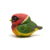 Chubby Bird: Red-Headed Barbet