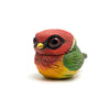 Chubby Bird: Red-Headed Barbet