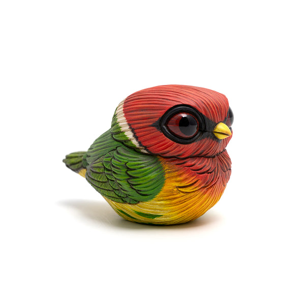Chubby Bird: Red-Headed Barbet