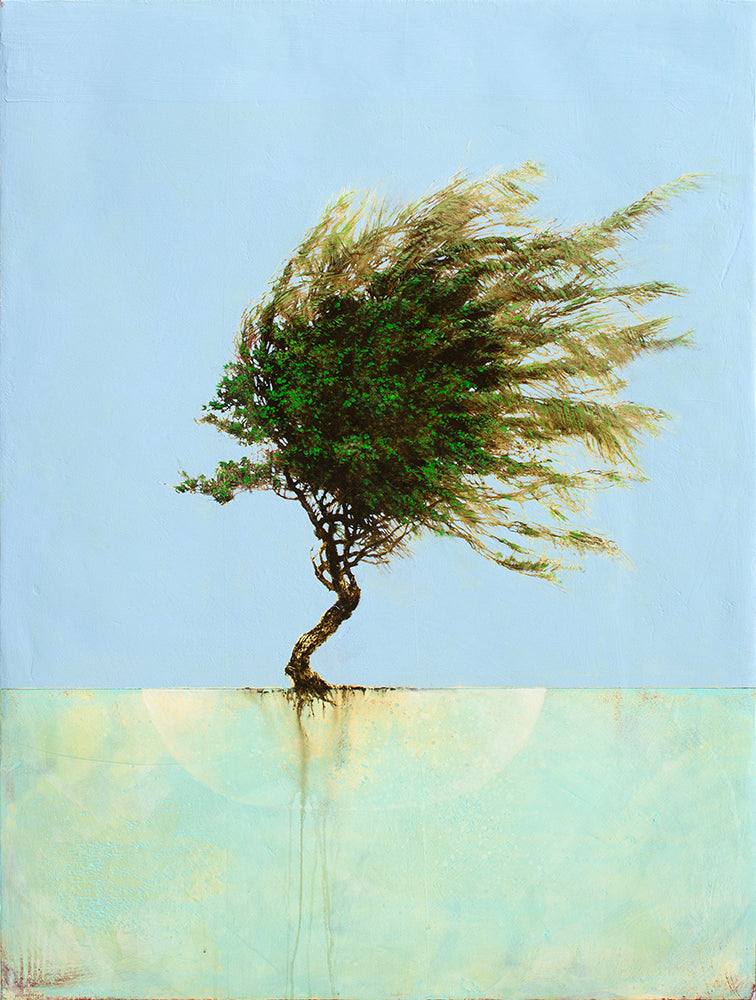 bonsai tree oil painting Robert Marchessault Artwork 'Bonsai'