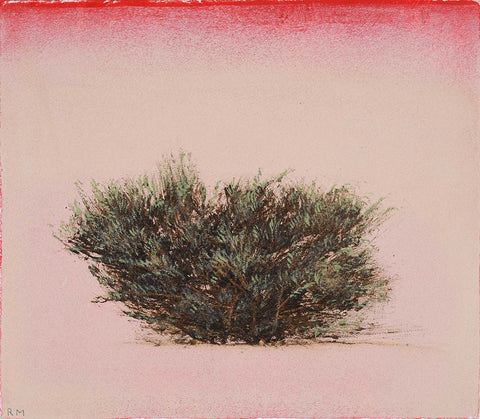 Old Taos Sage Study 1