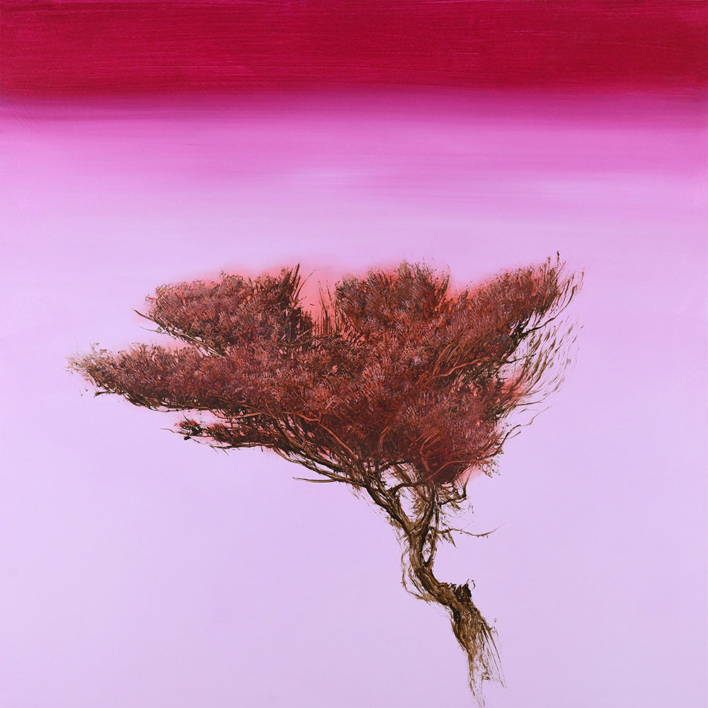 Red Bush