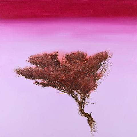 Red Bush