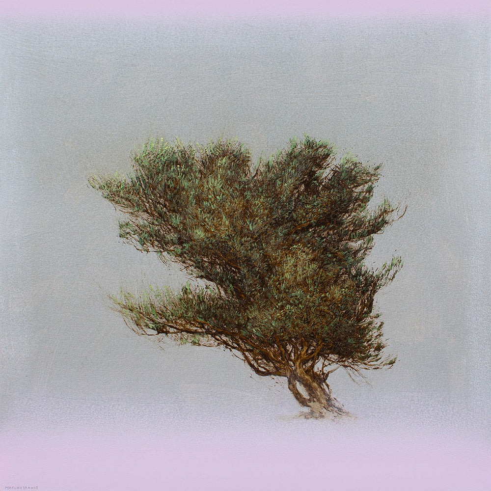 Sagebrush