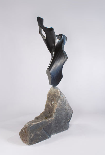 Slinky Black Dress - Foster/White Gallery