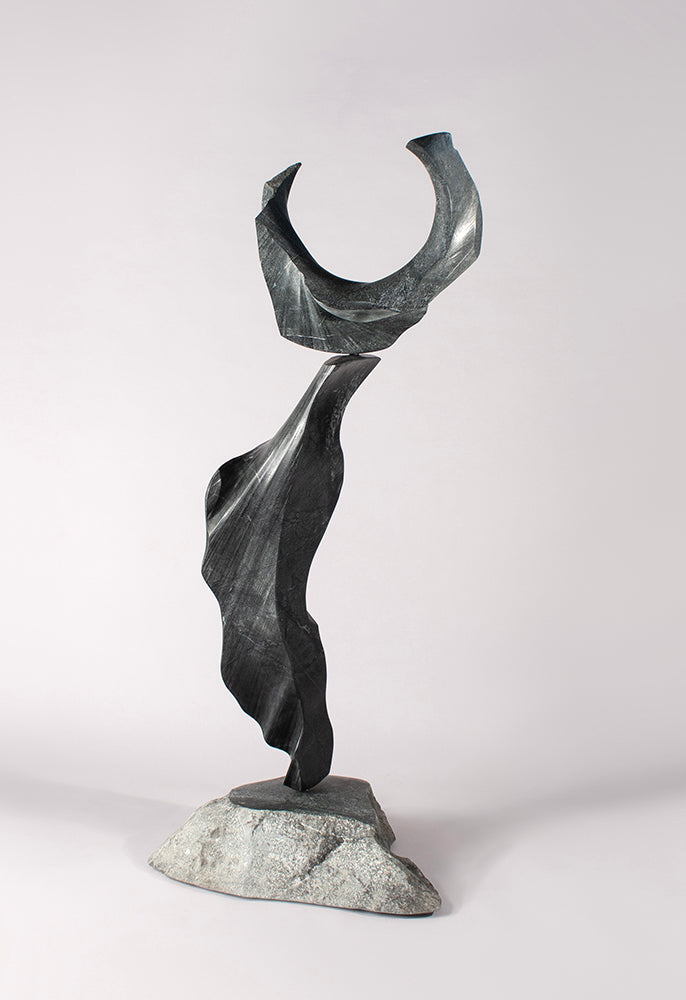 Will Robinson Artwork 'Strident Voice' | Available at Foster White ...