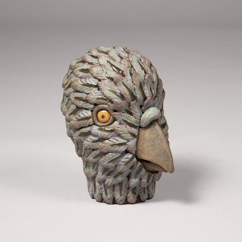 Rock Pigeon Head