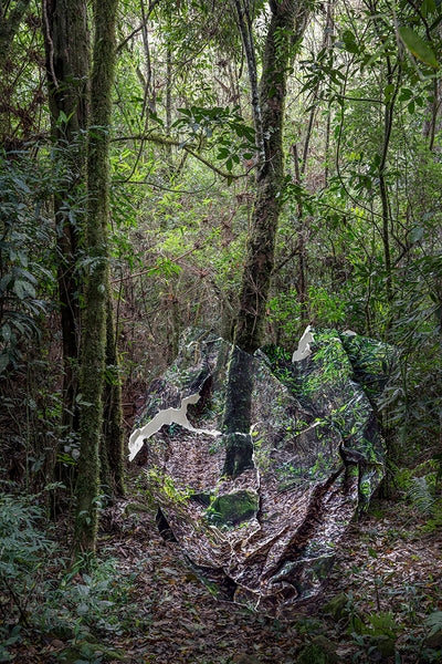 Topographies of Fragility XXVIII