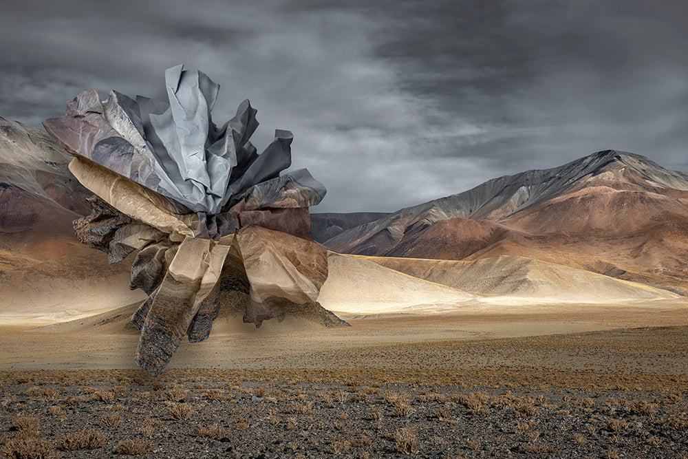 Topographies of Fragility XXXVI