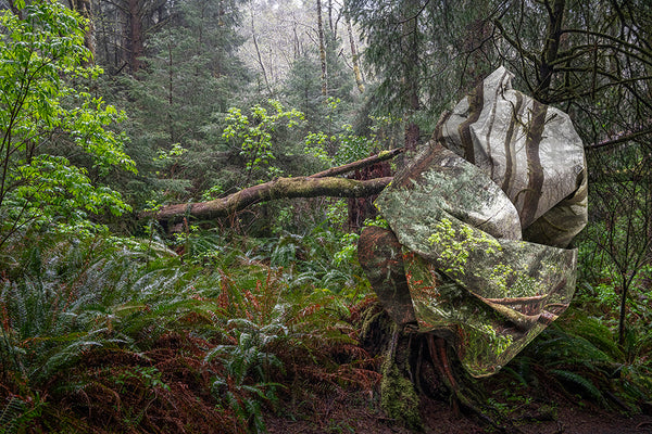 Topographies of Fragility XXXV