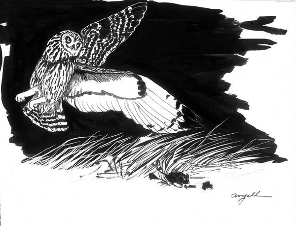 Tony Angell Artwork 'Short-eared owl' | Available at fosterwhite.com