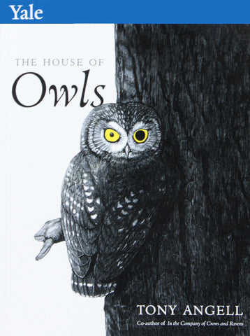 House of Owls, Tony Angell Book, 2016