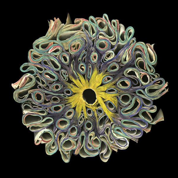 Cara Barer - Psychedelic - available in 3 sizes Archival Pigment Print Mounted on Archival Substrate, Framed in Black with Plexiglass, - Foster White Gallery