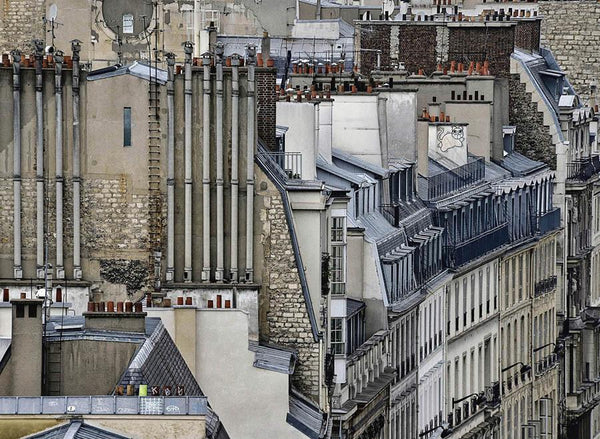 Michael Wolf - Paris Rooftops 8, Chromogenic Print Mounted to Archival Substrate, Framed in Black with Plexiglass, - Bau-Xi Gallery