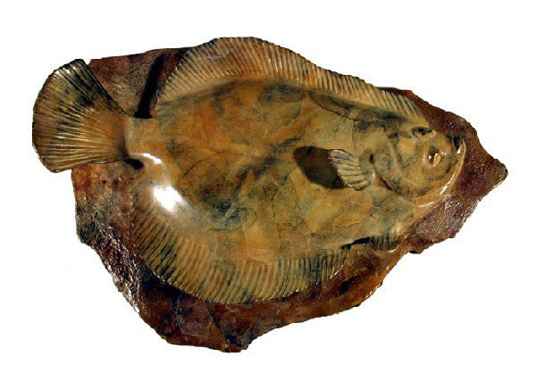 Tony Angell Artwork 'Flounder, Ed. 5/12' | Available at fosterwhite.com