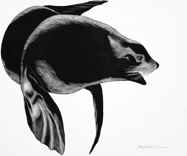 Tony Angell Artwork 'Northern Sea Lion' | Available at fosterwhite.com