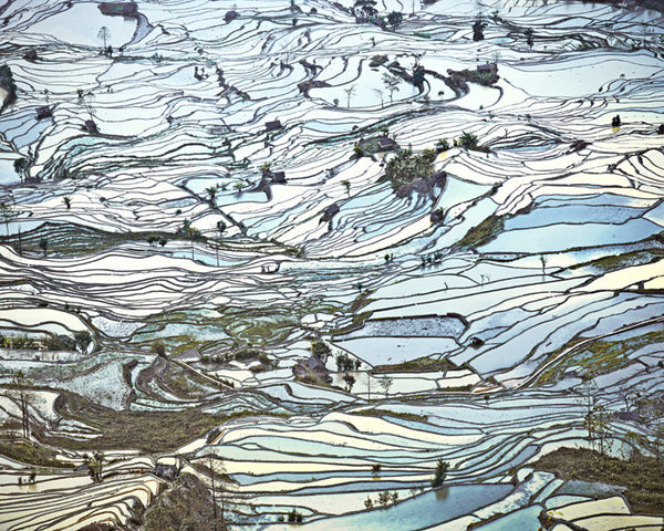 David Burdeny Artwork 'Rice Terraces, (Laohuzui II), Yunnan, China' | Available at fosterwhite.com
