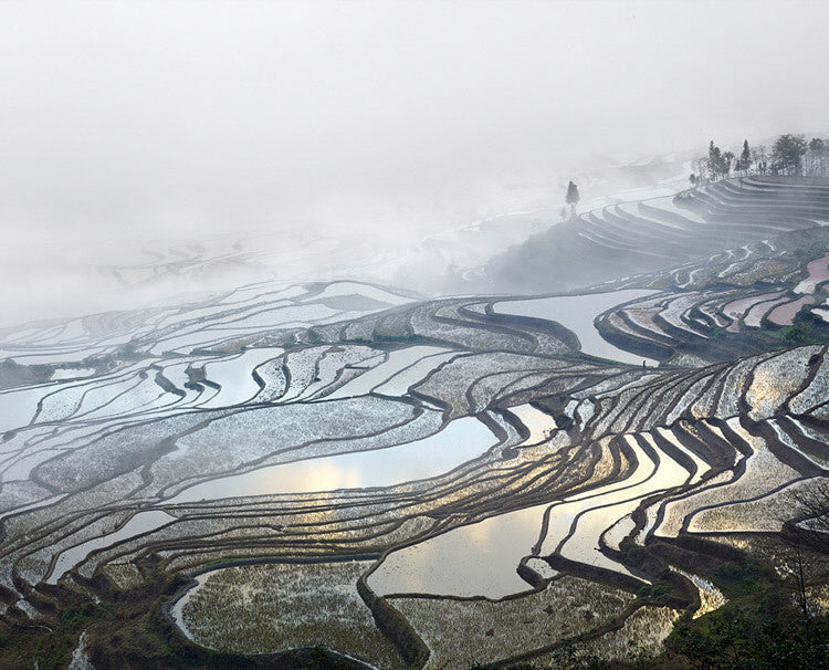 David Burdeny Artwork 'Rice Terraces, (Duoyishu), Yunnan, China' | Available at fosterwhite.com