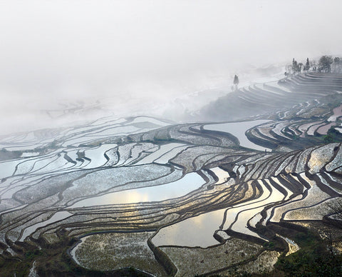 Rice Terraces, (Duoyishu), Yunnan, China