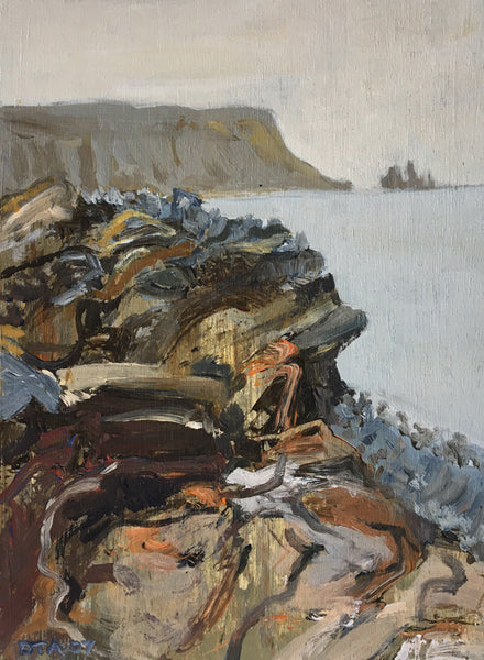 David Alexander Artwork 'SW, Shore, Iceland' | Available at fosterwhite.com