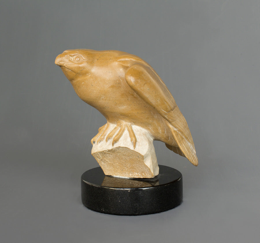 Tony Angell Artwork 'Alert Small Falcon' | Available at fosterwhite.com
