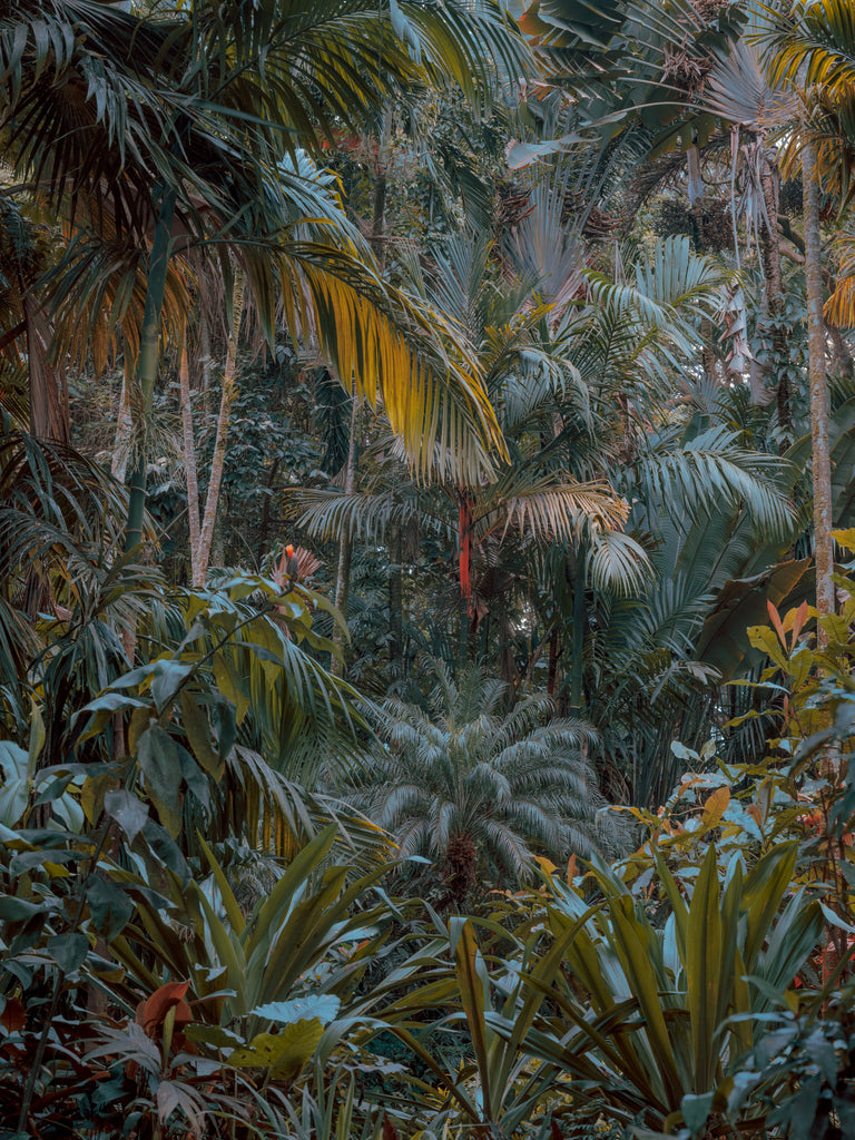 Cody Cobb Artwork 'Understory' | Available at fosterwhite.com