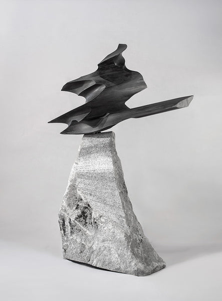 Will Robinson Artwork 'Balancing Act' | Available at fosterwhite.com