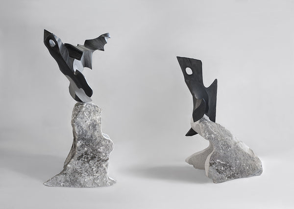 Will Robinson Artwork 'Two Rare Birds' | Available at fosterwhite.com