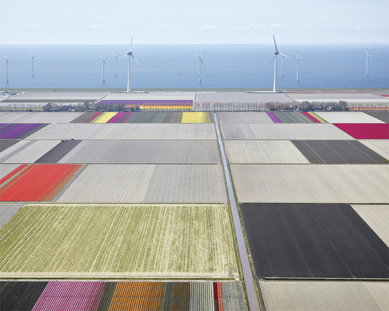 David Burdeny Artwork 'Tulips And Turbines 2, Noordoostpolder, The Netherlands' | Available at fosterwhite.com