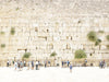 Joshua Jensen-Nagle - The Western Wall - 4 sizes | Available at Foster White Gallery Seattle